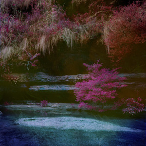 农民人伦一区二区三区
