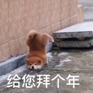 农民人伦一区二区三区
